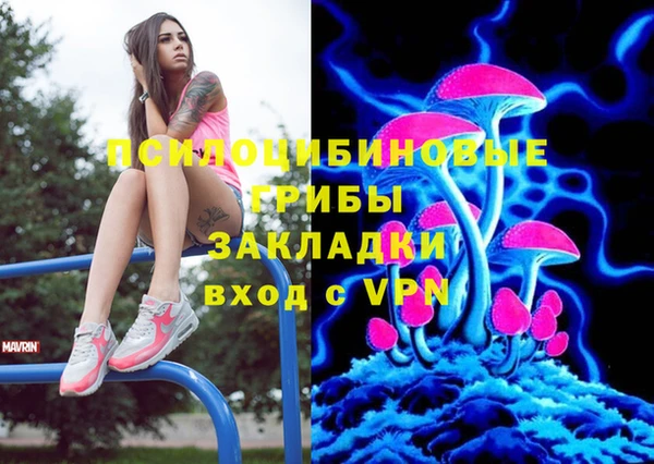 первитин Алексин