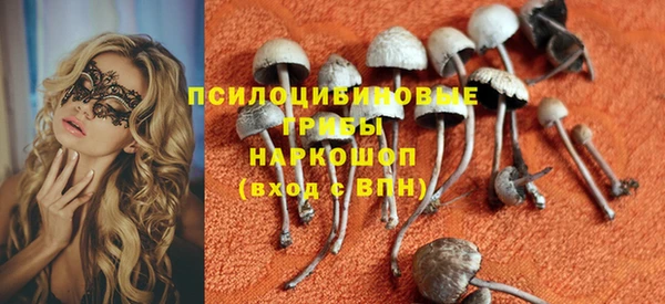 спайс Алексеевка