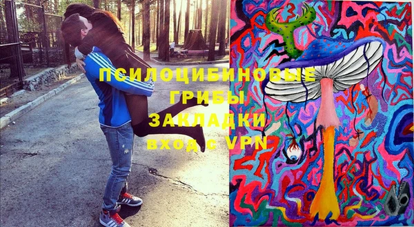 первитин Алексин