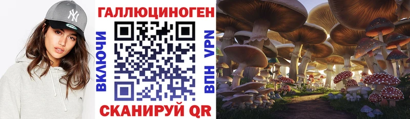 Псилоцибиновые грибы мухоморы  магазин продажи наркотиков  Ахтырский 